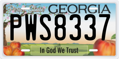 GA license plate PWS8337