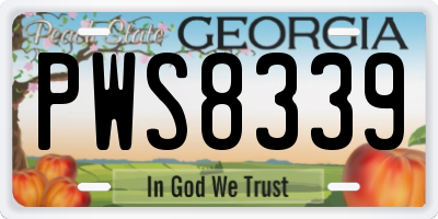GA license plate PWS8339