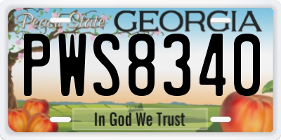 GA license plate PWS8340