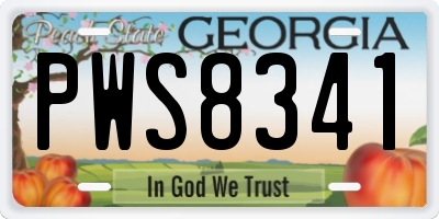GA license plate PWS8341