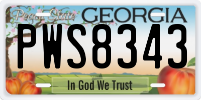 GA license plate PWS8343