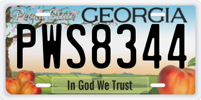 GA license plate PWS8344