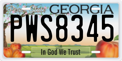 GA license plate PWS8345