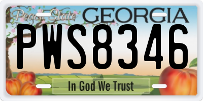 GA license plate PWS8346