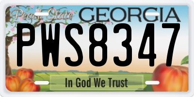 GA license plate PWS8347