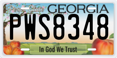 GA license plate PWS8348