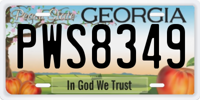 GA license plate PWS8349