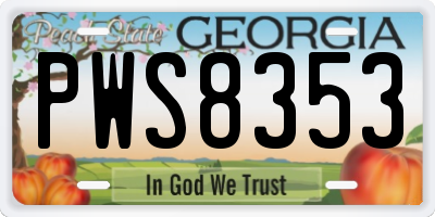 GA license plate PWS8353