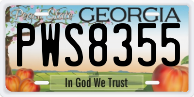 GA license plate PWS8355