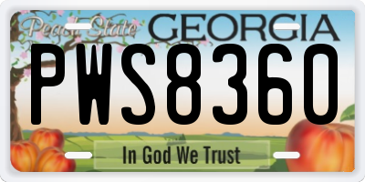 GA license plate PWS8360