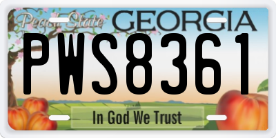 GA license plate PWS8361