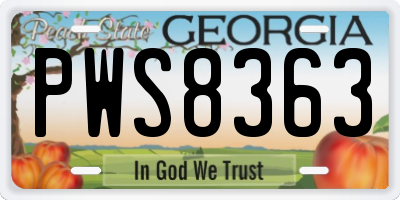 GA license plate PWS8363