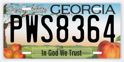 GA license plate PWS8364