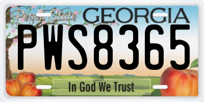 GA license plate PWS8365