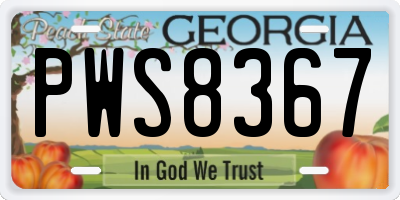 GA license plate PWS8367