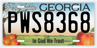 GA license plate PWS8368