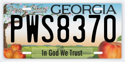 GA license plate PWS8370