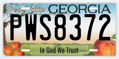 GA license plate PWS8372