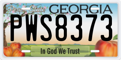 GA license plate PWS8373