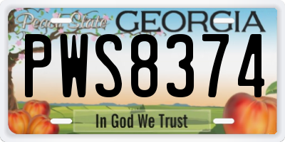 GA license plate PWS8374