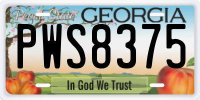 GA license plate PWS8375