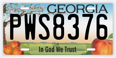 GA license plate PWS8376