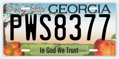 GA license plate PWS8377