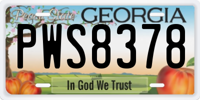 GA license plate PWS8378