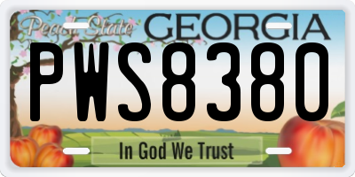 GA license plate PWS8380