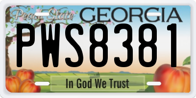 GA license plate PWS8381