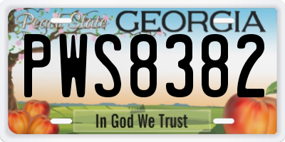 GA license plate PWS8382