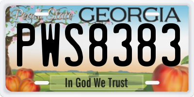 GA license plate PWS8383