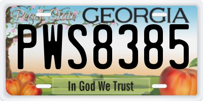 GA license plate PWS8385