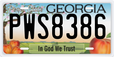 GA license plate PWS8386