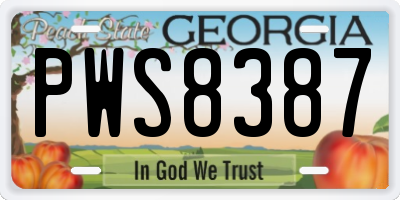 GA license plate PWS8387