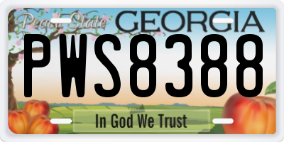 GA license plate PWS8388