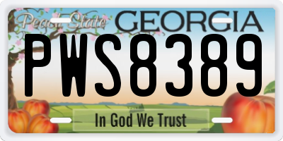 GA license plate PWS8389