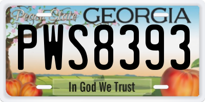 GA license plate PWS8393