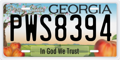 GA license plate PWS8394