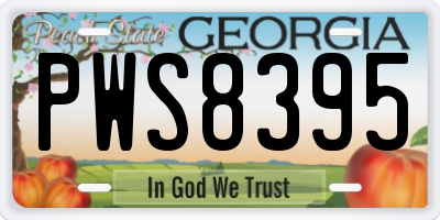 GA license plate PWS8395