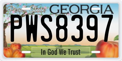 GA license plate PWS8397