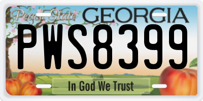 GA license plate PWS8399