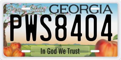 GA license plate PWS8404