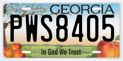 GA license plate PWS8405