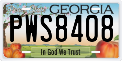 GA license plate PWS8408
