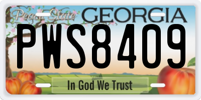 GA license plate PWS8409