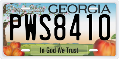 GA license plate PWS8410