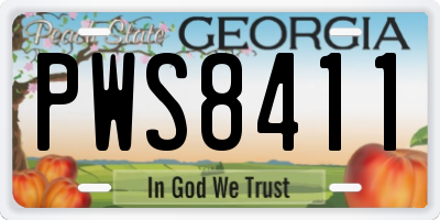 GA license plate PWS8411