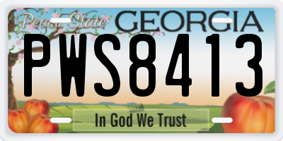 GA license plate PWS8413