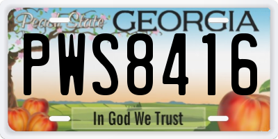GA license plate PWS8416
